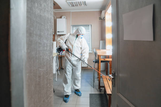 Best Crawl Space Mold Remediation  in Rock Springs, WY
