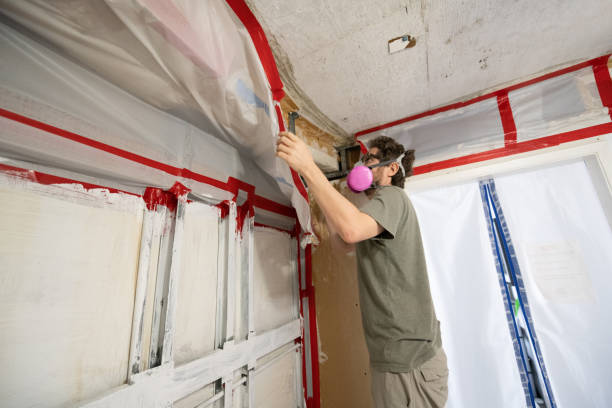 Best Mold Removal for HVAC Installations  in Rock Springs, WY