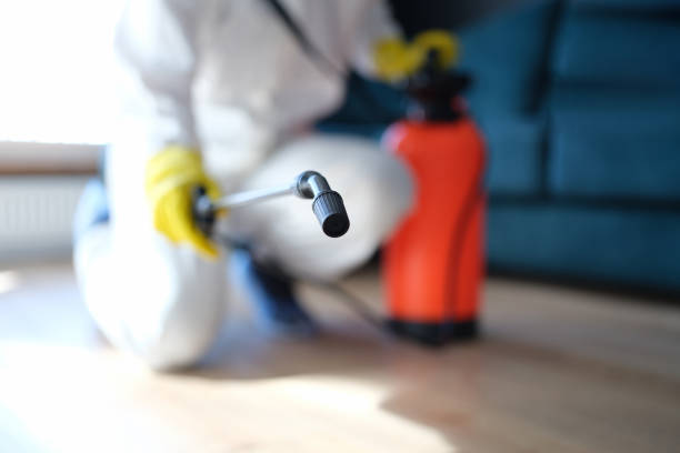 Trusted Rock Springs, WY Mold Removal Experts